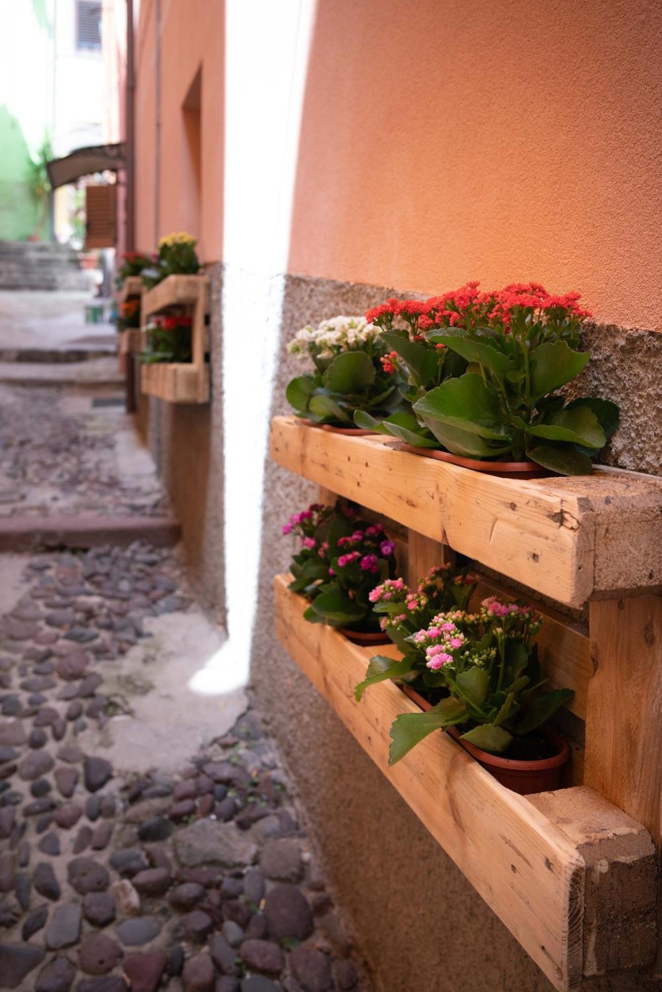 Guest house Casa Mirto Bosa